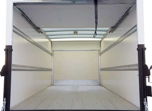 
								2023 EV Star Cargo Plus full									